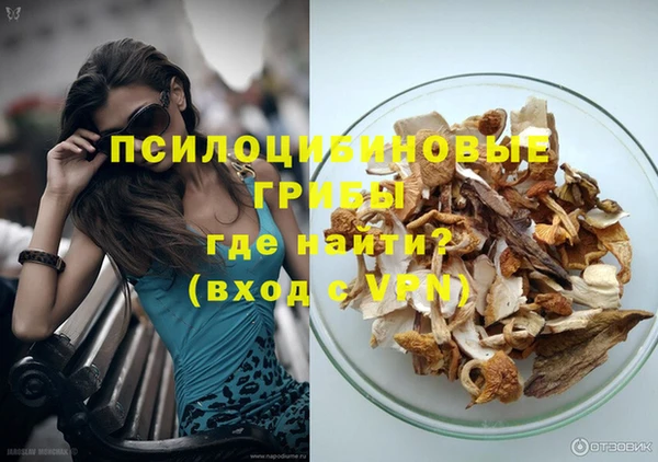 spice Армянск