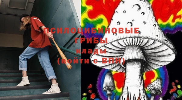 spice Армянск